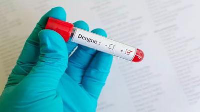 dengue-1.jpg