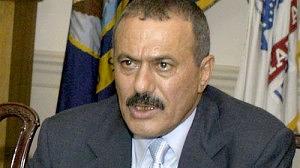 saleh-300x168.jpg