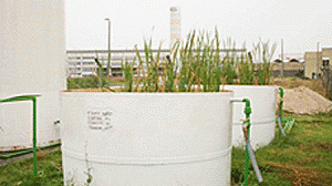 esgoto-pesquisa-300x168.gif
