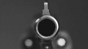 arma11-300x168.gif