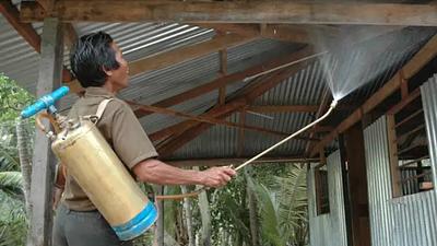 dengue-1.jpg