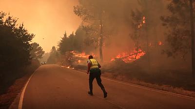 incendioflorestalmundo.jpg