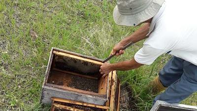agrotoxicos.jpg