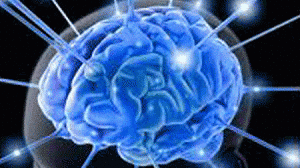 cerebro-300x168.gif