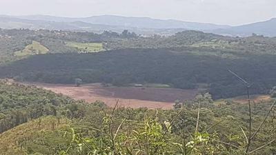 brumadinho-6.jpg