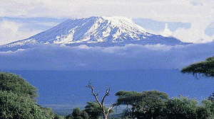 kilimanjaro-300x168.gif