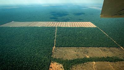 amazonia.jpg