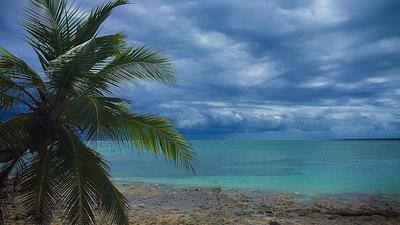 ilha-1.jpg
