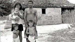 garapa-300x168.jpg