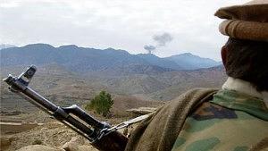 taleba2-300x169.jpg