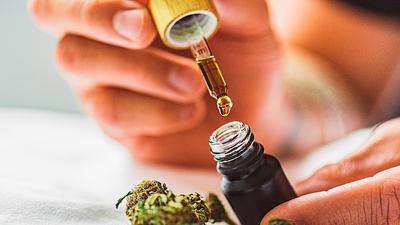 cannabis.jpg