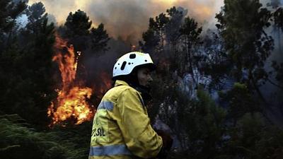 queimadas-portugal.jpg