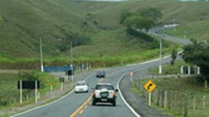 feriado-300x168.gif