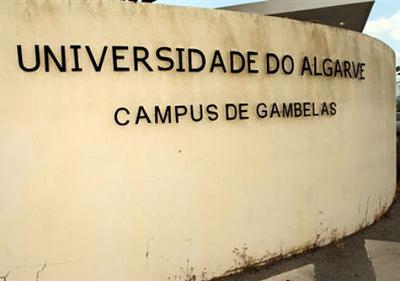 universidade.jpg