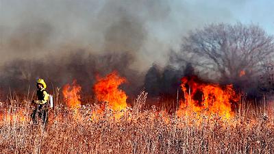 incendio-belgica.jpg