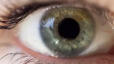 retina.jpg