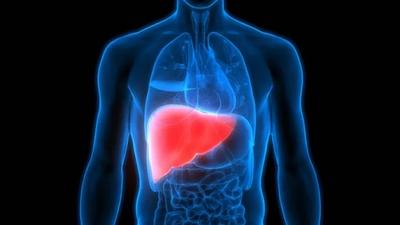 hepatite.jpeg