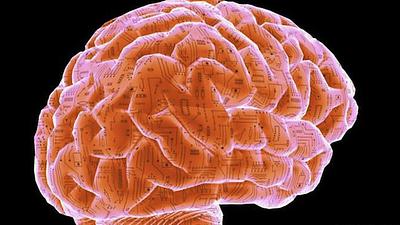 cerebro.jpg