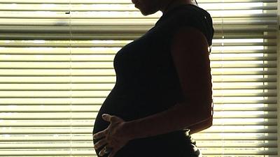 zika-10.jpg