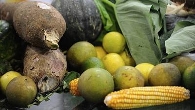rioalimentos.jpg
