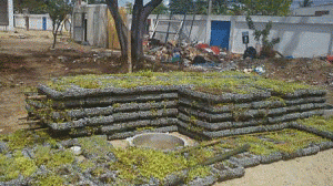 escola-verde-300x168.gif