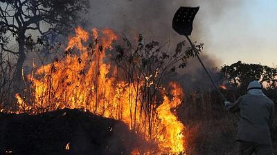 incendios.jpg