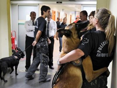 policiafederaldrogas.jpg