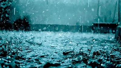 chuva-acida.jpg