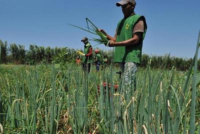 agricultores.jpg