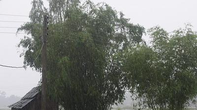 calor-3.jpg