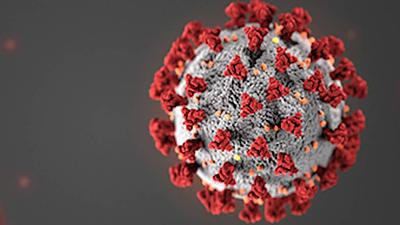 coronavirus.jpg