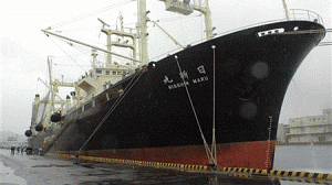 navio-baleias-300x168.gif