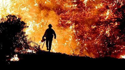 incendio-floresta.jpg