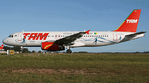 aviaotam1-300x168.gif
