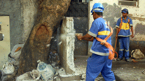 mutera-mangueira-300x168.gif
