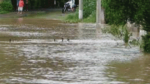 chuvamg-300x168.gif