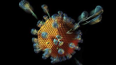bacterias.jpg