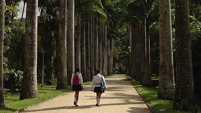 jardim-1.jpg