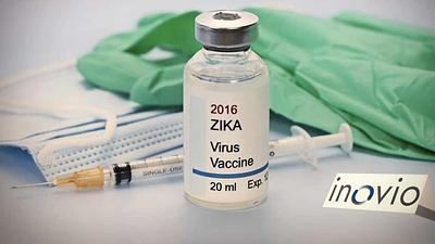 zika-3.jpg