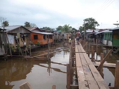 amazonas.jpg