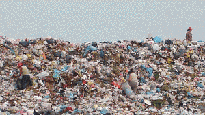 lixao-300x168.gif