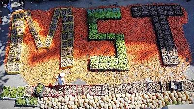 alimentos.jpg