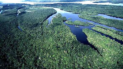 amazonia.jpg