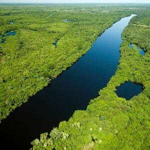 vista-aerea-do-pantanal-nas-proximidades-do-rio-negro-no-mato-grosso-1346962089021_300x300.jpg