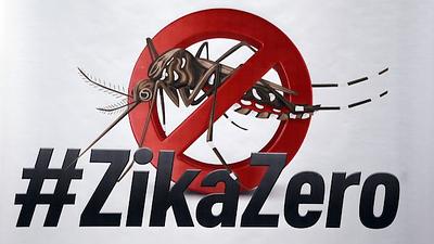 zika-13.jpg