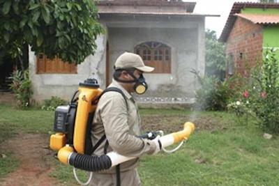dengue-1.jpg