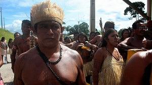 Awaguajas-300x168.jpg