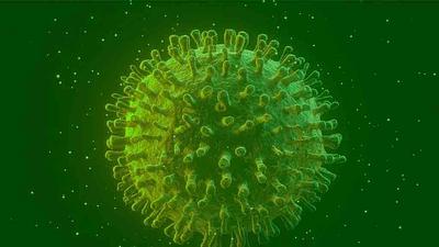 coronavirus.jpg