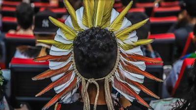 indigena.jpg