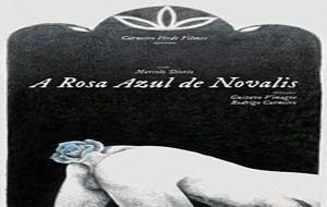 rosa-novalis2-300x190.jpg